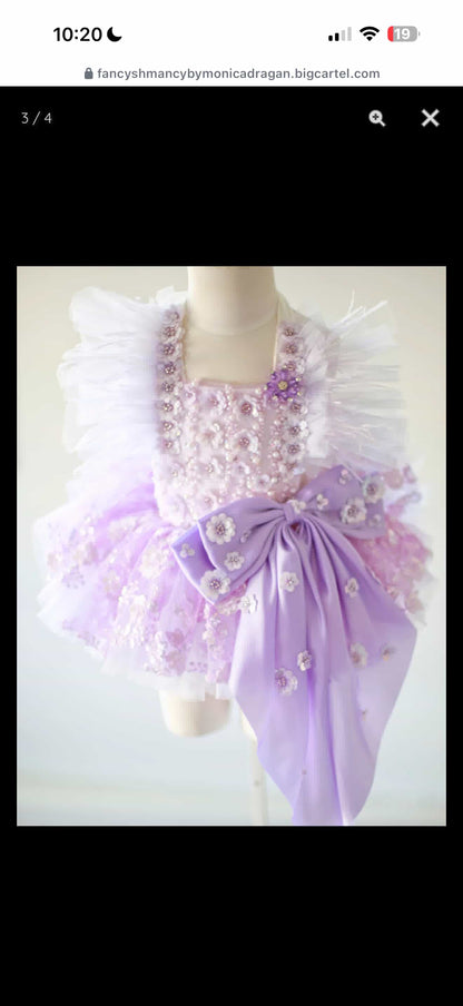 Custom The Little Girl Dress For S