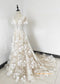 Light Champagne Embroider Lace Bridal Gown