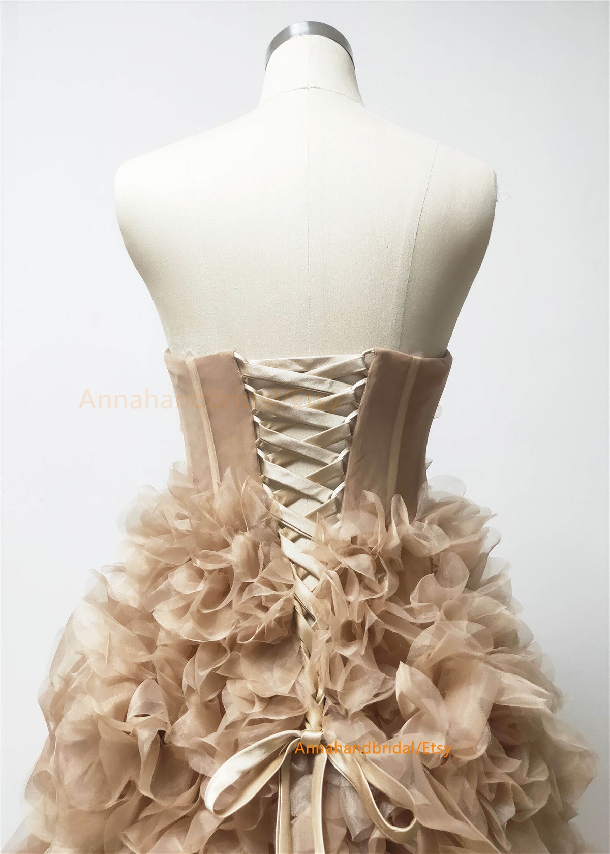 Tan Organza Fantastic Photo Shot Dress